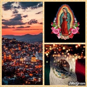 Meet your Posher, Joana